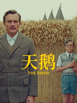 av网站一区